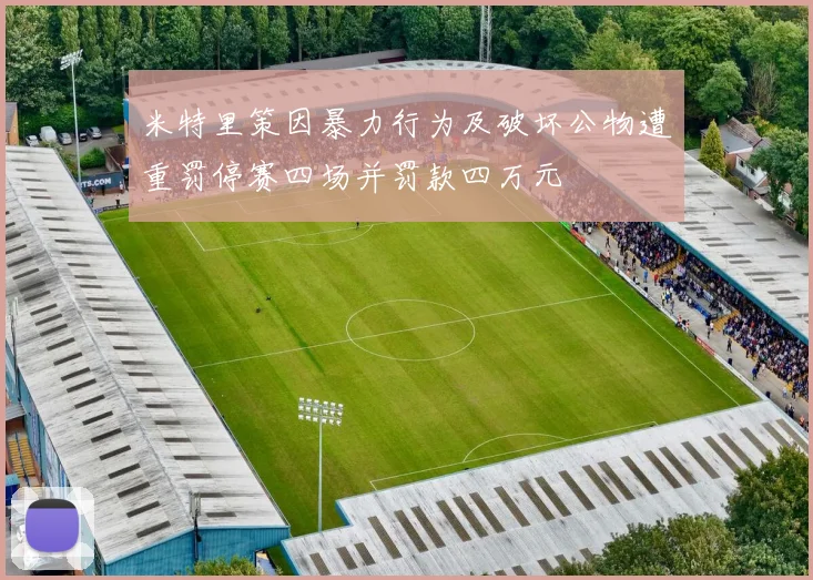 米特里策因暴力行为及破坏公物遭重罚停赛四场并罚款四万元