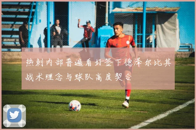 热刺内部普遍看好签下德泽尔比其战术理念与球队高度契合